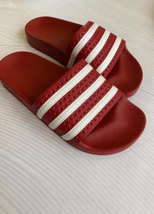 Шльопанці adidas