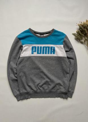 Sweatshirt puma чоловічий світшот кофта пума1 фото