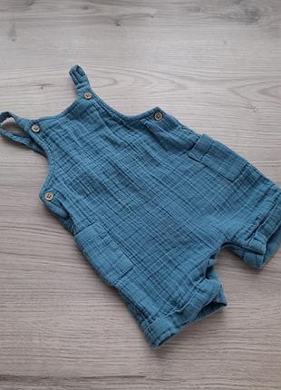 Муслиновый песочник