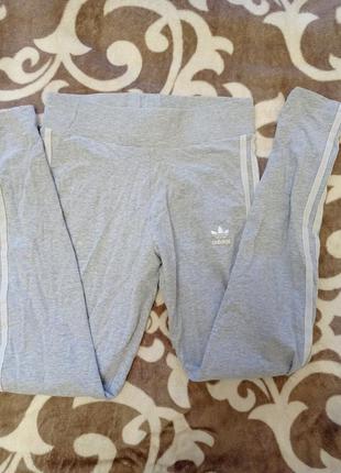 Лосины adidas