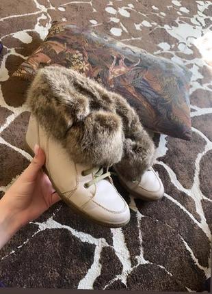 Уги черевики з хутром снікерси білі нові брендові чоботи туфлі зимові zara massimo dolce louis2 фото