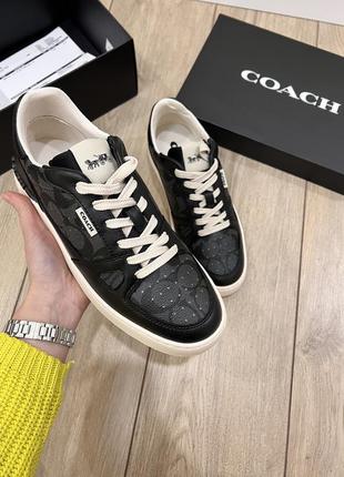 Кросівки coach