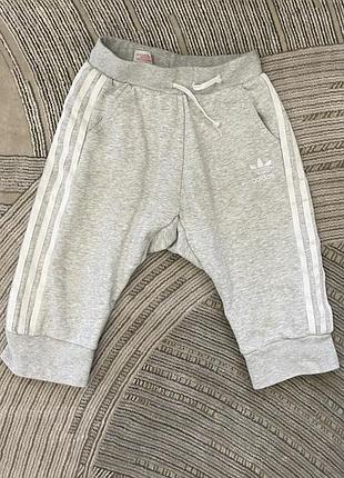 Нові шорти adidas