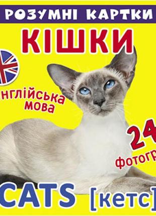 Умные карты кошки 12 карт 10х10см.