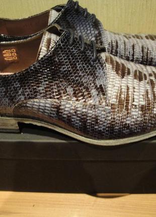 Модельні чоловічі шкіряні туфлі броги floris van bommel / класичні шкіряні туфлі