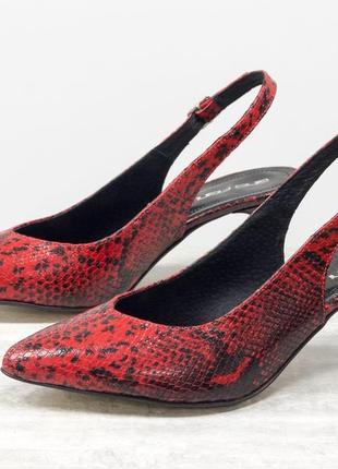 Шкіряні класичні туфлі з відкритою п'ятою2 фото