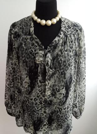 Блуза с леопардрвым принтом от e-vie