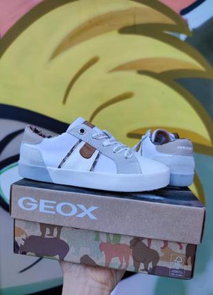 Новые стильные кеды кроссовки geox kilwi