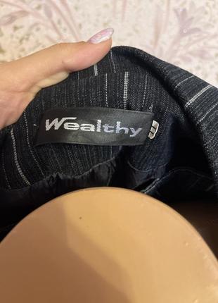 Пиджак + жилет wealthy3 фото