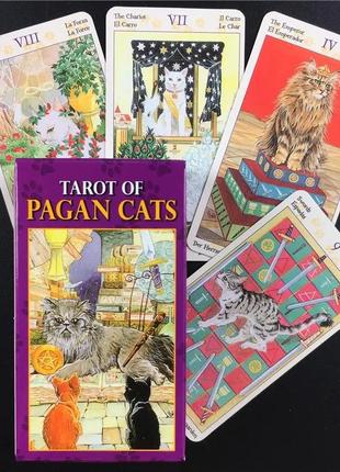 Карты таро языческих кошек 10х6 см (tarot of pagan cats)8 фото