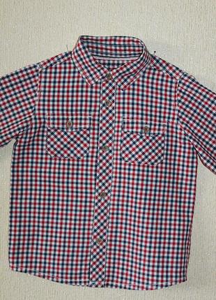 Стильная рубашка nutmeg для юного модника