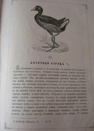 Антикварная книга "записки ружейнаго охотника оренбургской губернии аксакова с.т"5 фото