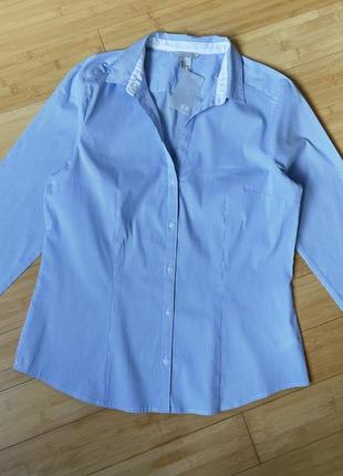Стрейчева,блакитна сорочка в смужку