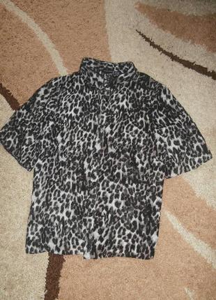 Блузка-сорочка принт лео