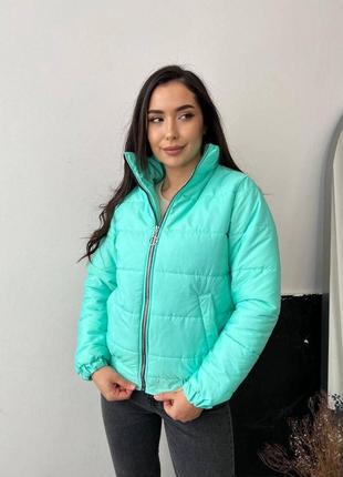 Жіноча куртка без капюшона s-м м-l l-xl (42-44 44-46 46-48) тепла осіння весняна м'ятна