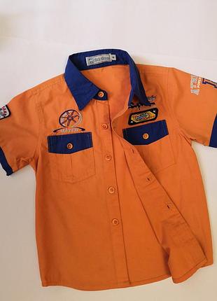 Сорочка rich sheep на 6 років 3