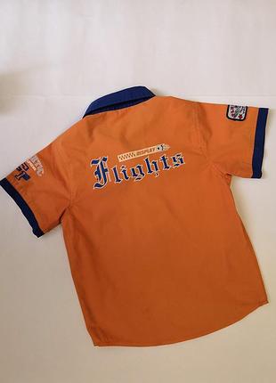 Сорочка rich sheep на 6 років 2