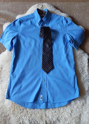 Мужская тенниска рубашка  lacoste