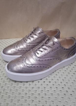 Шкіряні туфлі оксфорди кроссовки clarks