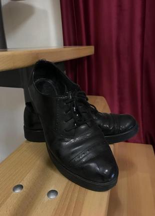 ❤️👞чорні броги на шнурках🔥 оксфорди лакові лофери на шнурівці туфлі дербі оксфорды лоферы