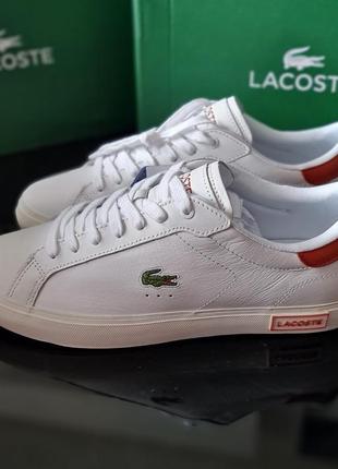 Кросівки lacoste original р.42,44