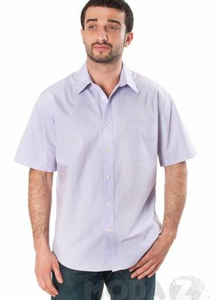 Рубашка мужская covington