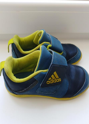 Кроссовки кроссовки adidas