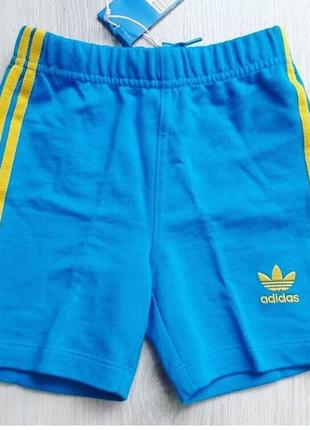 Шорты adidas originals  2т,90-92 см5 фото