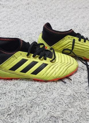 Бутсы копы adidas predator 38 размер , 23,5 см