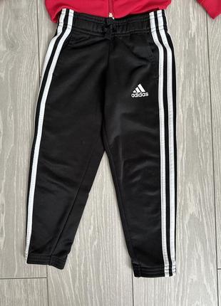 Adidas костюм3 фото