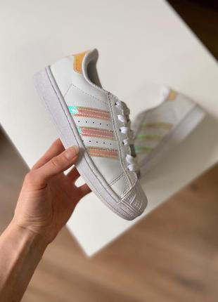 Кросівки adidas superstar