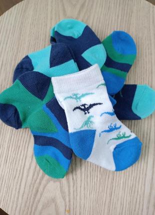 Бавовняні шкарпетки динозаври набором 7в1