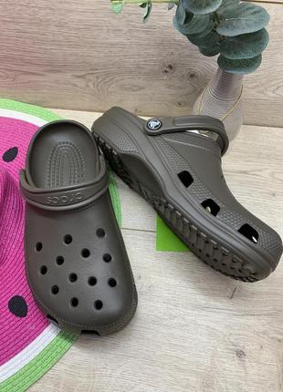 Великолепные классические шоколадные кроксы crocs 10001-200