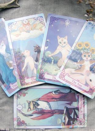 Гадальные карты таро кошек cat tarot таро с котиками котами размер стандартный5 фото