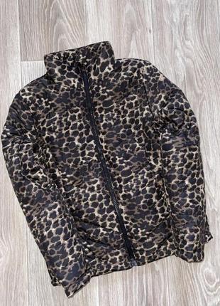 Деми курточка