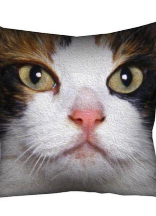 Подушка габардинова з принтом мордочка кота 40x40 (4p_ani018)1 фото