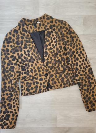 Леопардовий пиджак h&m, жакет h&m