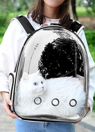 Прозрачный рюкзак для переноски животных pet cat для кошек и собак black8 фото