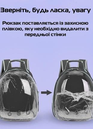 Прозрачный рюкзак для переноски животных pet cat для кошек и собак black9 фото