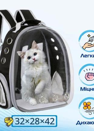 Прозрачный рюкзак для переноски животных pet cat для кошек и собак black3 фото