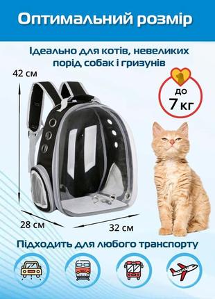 Прозрачный рюкзак для переноски животных pet cat для кошек и собак black4 фото