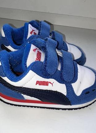 Кроссовки puma2 фото