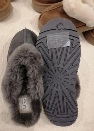 Шльопанці мюлі tazz disquette slipper - ugg5 фото