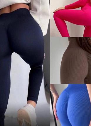 Лосіни в рубчик пуш ап