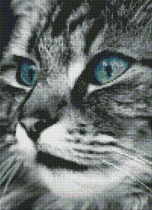 Набір алмазна мозаїка вишивка смарагдові очі чорний кіт кішка на підрамнику повна викладка 5d 40х50 см
