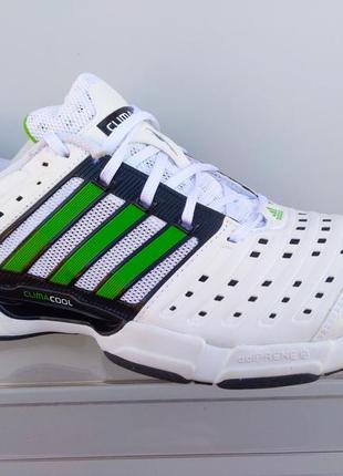 Мужские спортивные кроссовки adidas cp clima tr