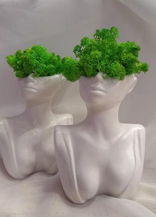 Декоративне кашпо діва білосніжна з зеленим мохом