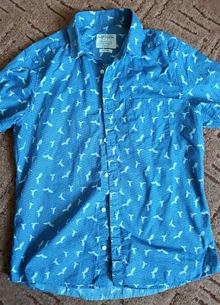 Сорочка, сорочка burton london. m