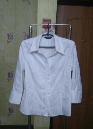 Стрейчева білосніжна блузка сорочка dorothy perkins р. 14 (румунія)1 фото