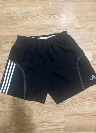 Продам шорты adidas размер  л